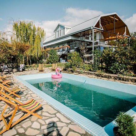 Chateau Dzveli Gavazi Hotel Akhalsopeli  Exterior photo